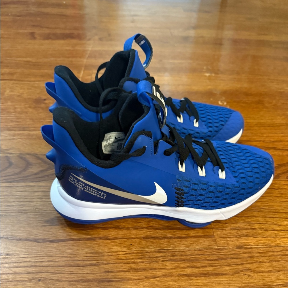 Nike Lebron Witness V Game Royal Blue Size 9